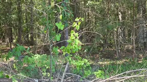 0 Willow Lake Rd, Fort Valley, GA 31030