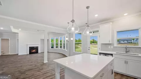 Other - 498 Beachview Rd, Hampton, GA 30228 photo 6 of 13