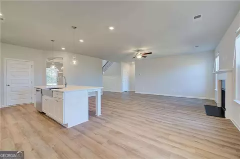 Living - 416 Hatcher Ct, Hampton, GA 30228 photo 4 of 4