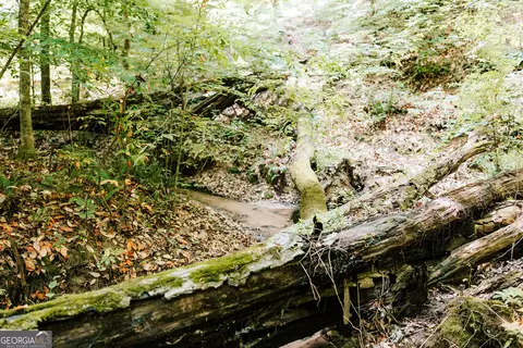 0 Stephens Salem Rd, Stephens, GA 30667 photo 32