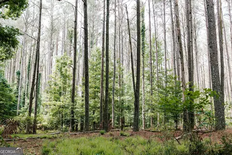 0 Stephens Salem Rd, Stephens, GA 30667 photo 38