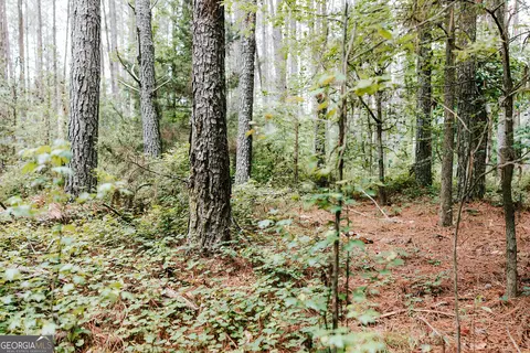 0 Stephens Salem Rd, Stephens, GA 30667 photo 7