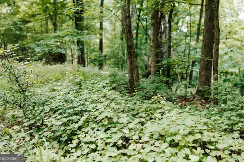0 Stephens Salem Rd, Stephens, GA 30667 photo 17