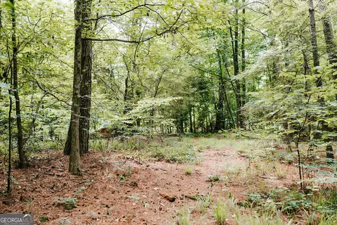 0 Stephens Salem Rd, Stephens, GA 30667 photo 5