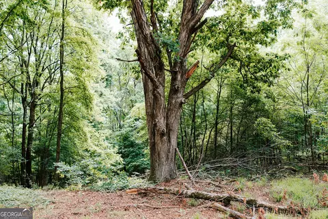 0 Stephens Salem Rd, Stephens, GA 30667 photo 13