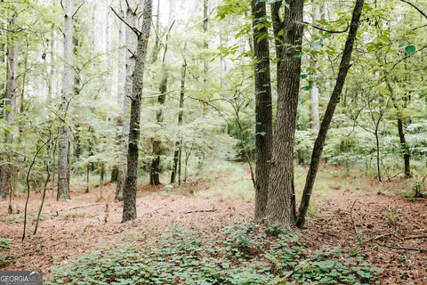 0 Stephens Salem Rd, Stephens, GA 30667 photo 4