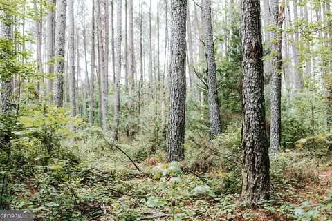 0 Stephens Salem Rd, Stephens, GA 30667 photo 6