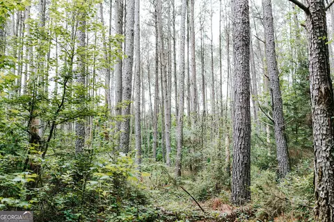 0 Stephens Salem Rd, Stephens, GA 30667 photo 8