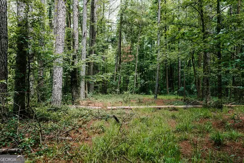 0 Stephens Salem Rd, Stephens, GA 30667 photo 9