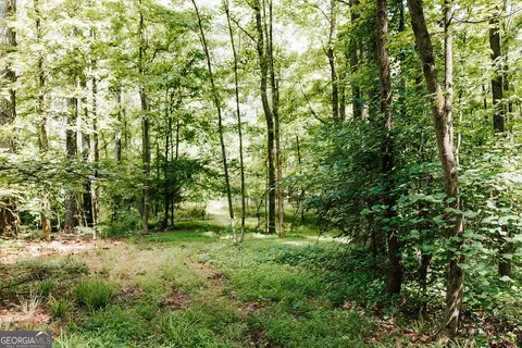 0 Stephens Salem Rd, Stephens, GA 30667 photo 11