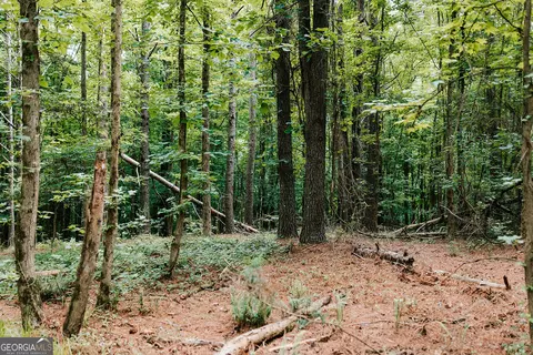0 Stephens Salem Rd, Stephens, GA 30667 photo 10