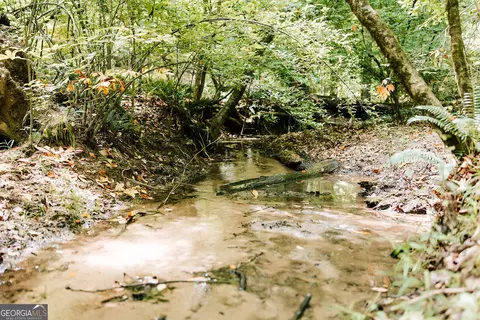 0 Stephens Salem Rd, Stephens, GA 30667 photo 27