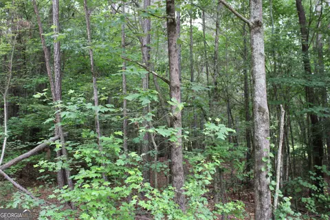 2 Garnett Ward Rd, Hull, GA 30646