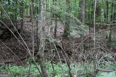 2 Garnett Ward Rd, Hull, GA 30646 photo 14