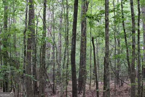 2 Garnett Ward Rd, Hull, GA 30646 photo 2