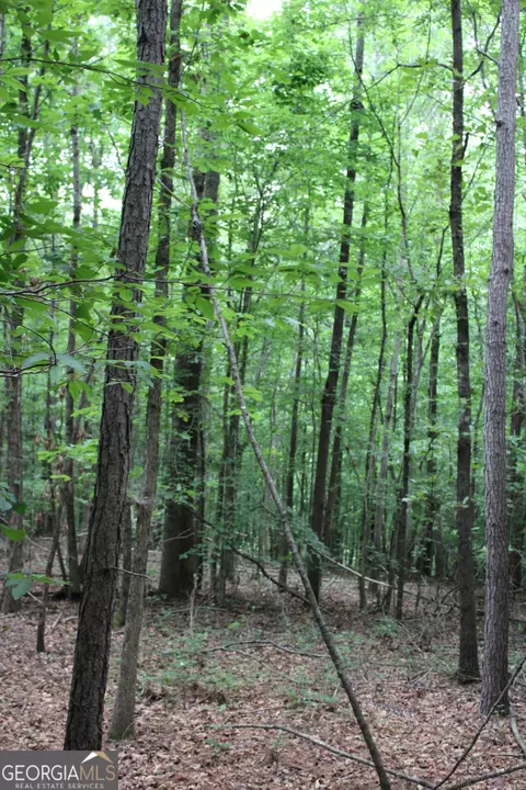 2 Garnett Ward Rd, Hull, GA 30646 photo 4