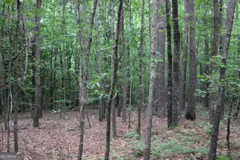 2 Garnett Ward Rd, Hull, GA 30646 photo 3