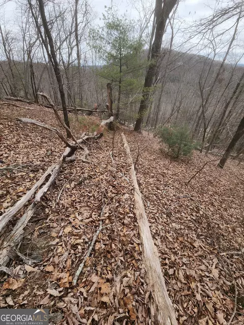 lot Apt 14 Little Eagle Mtn Mtn, Clarkesville, GA 30523