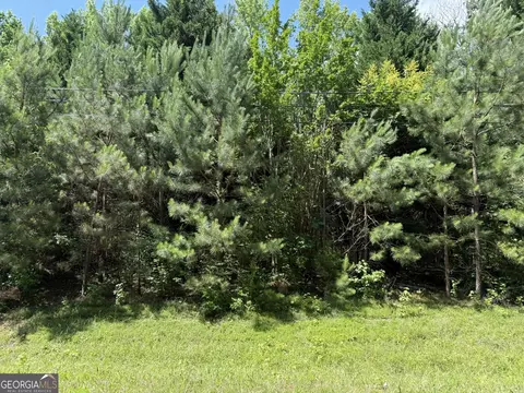 1425 River Rd, Warm Springs, GA 31830