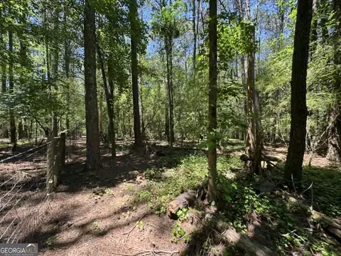 776 Childers Rd, Colbert, GA 30628 photo 22