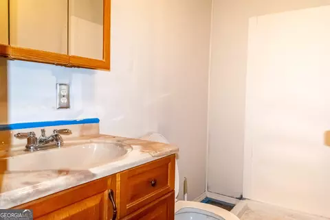 Bath - 230 Norfolk Dr, Hampton, GA 30228 photo 3 of 3