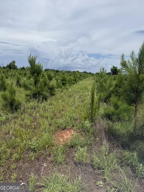 4276 County Line Rd, Lumpkin, GA 31815