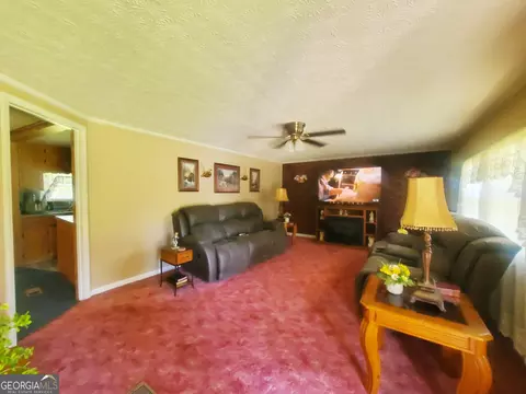 Living - 2021 Red Hill Rd, Carnesville, GA 30521 photo 1 of 1