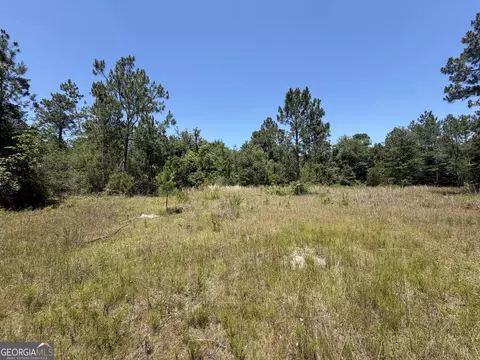 204 John Osburn Ln, Hazlehurst, GA 31539