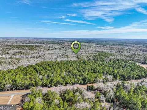 0 Buckeye Rd, Tennille, GA 31089