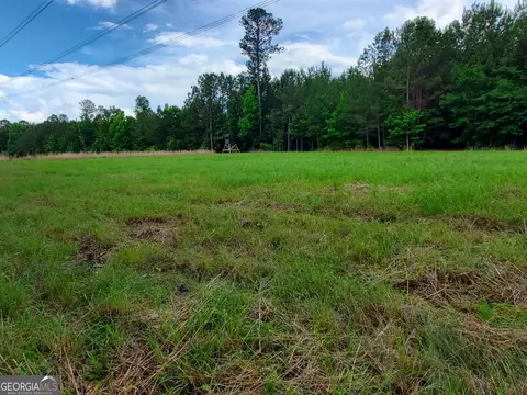 1 Roy Lawrence Rd, Sparta, GA 31087