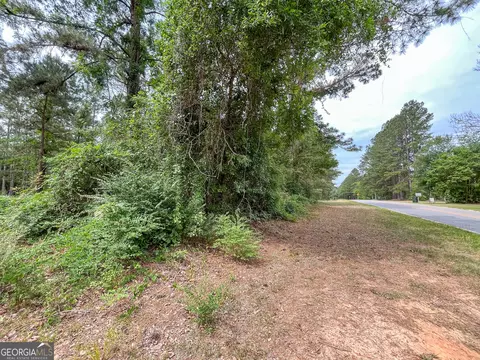 0 Mosley Rd, Claxton, GA 30417 photo 5