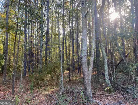 0 Mosley Rd, Claxton, GA 30417 photo 6