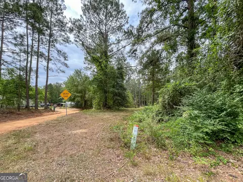 0 Mosley Rd, Claxton, GA 30417 photo 3