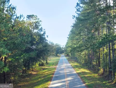 0 Mosley Rd, Claxton, GA 30417