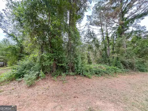 0 Mosley Rd, Claxton, GA 30417 photo 7