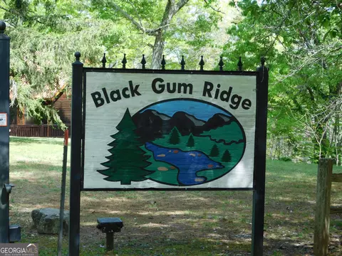 0 Dallas Ln, Blue Ridge, GA 30513