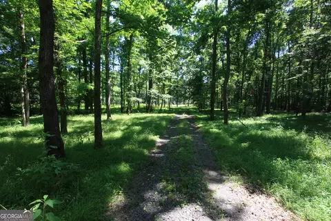 0 Mcgee Bend Rd, Rome, GA 30165 photo 15