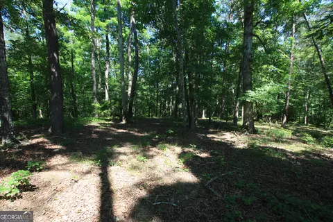 0 Mcgee Bend Rd, Rome, GA 30165 photo 3