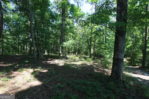 0 Mcgee Bend Rd, Rome, GA 30165 photo 2