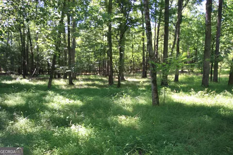 0 Mcgee Bend Rd, Rome, GA 30165 photo 29