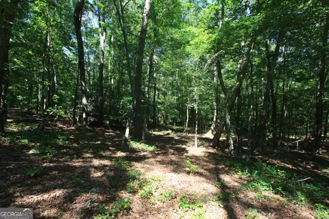 0 Mcgee Bend Rd, Rome, GA 30165 photo 5