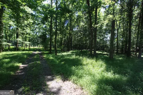 0 Mcgee Bend Rd, Rome, GA 30165 photo 14