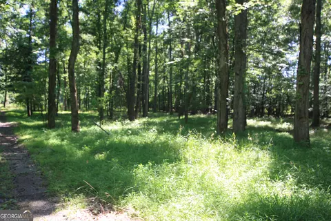 0 Mcgee Bend Rd, Rome, GA 30165 photo 13