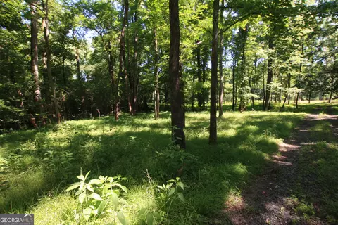 0 Mcgee Bend Rd, Rome, GA 30165 photo 16