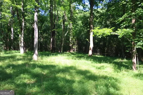 0 Mcgee Bend Rd, Rome, GA 30165 photo 30
