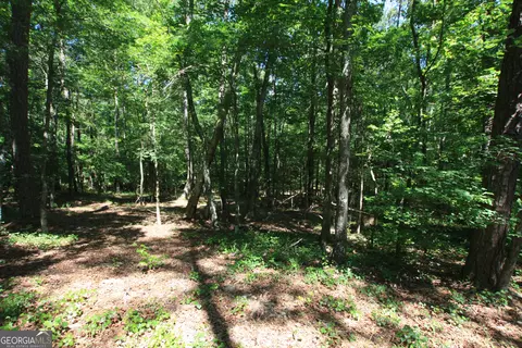 0 Mcgee Bend Rd, Rome, GA 30165 photo 4