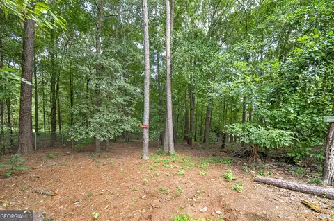 450 Lakeshore Dr, Jackson, GA 30233 photo 6