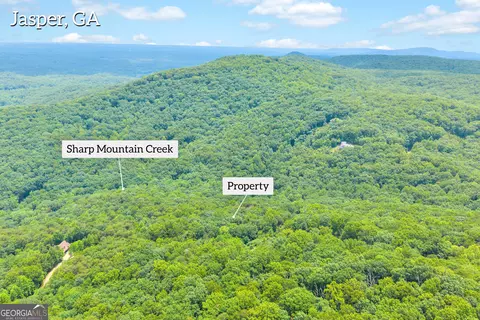 98 Sharp Mountain Pkwy, Jasper, GA 30143 photo 2