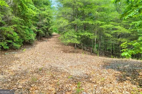 98 Sharp Mountain Pkwy, Jasper, GA 30143 photo 19