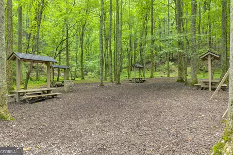 98 Sharp Mountain Pkwy, Jasper, GA 30143 photo 17